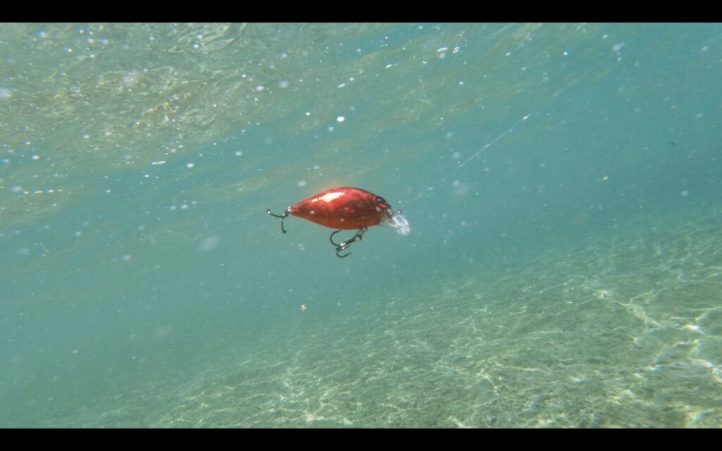 参考資料用画像