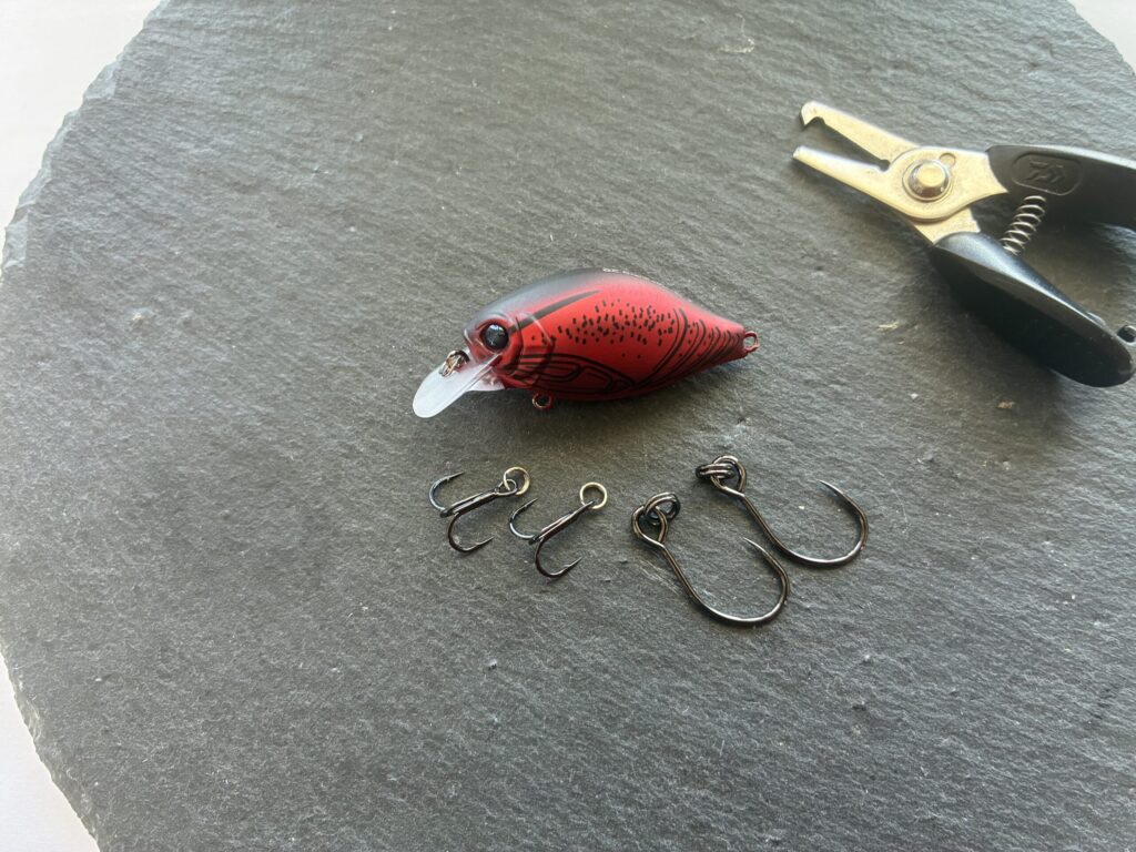 参考資料用画像