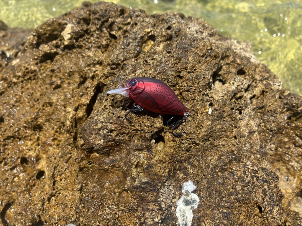 参考資料用画像2