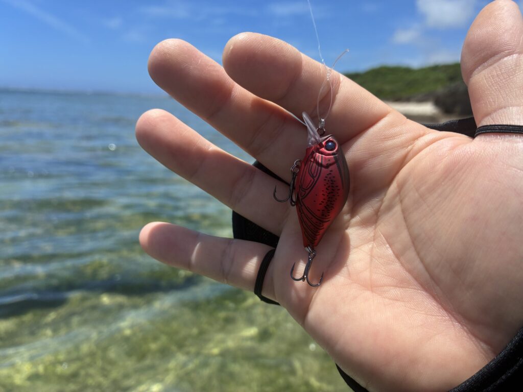 参考資料用画像