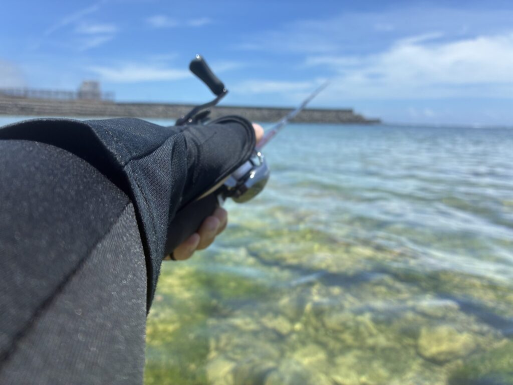 参考資料用画像