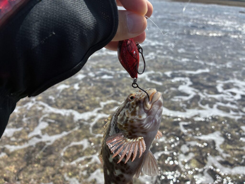 参考資料用画像