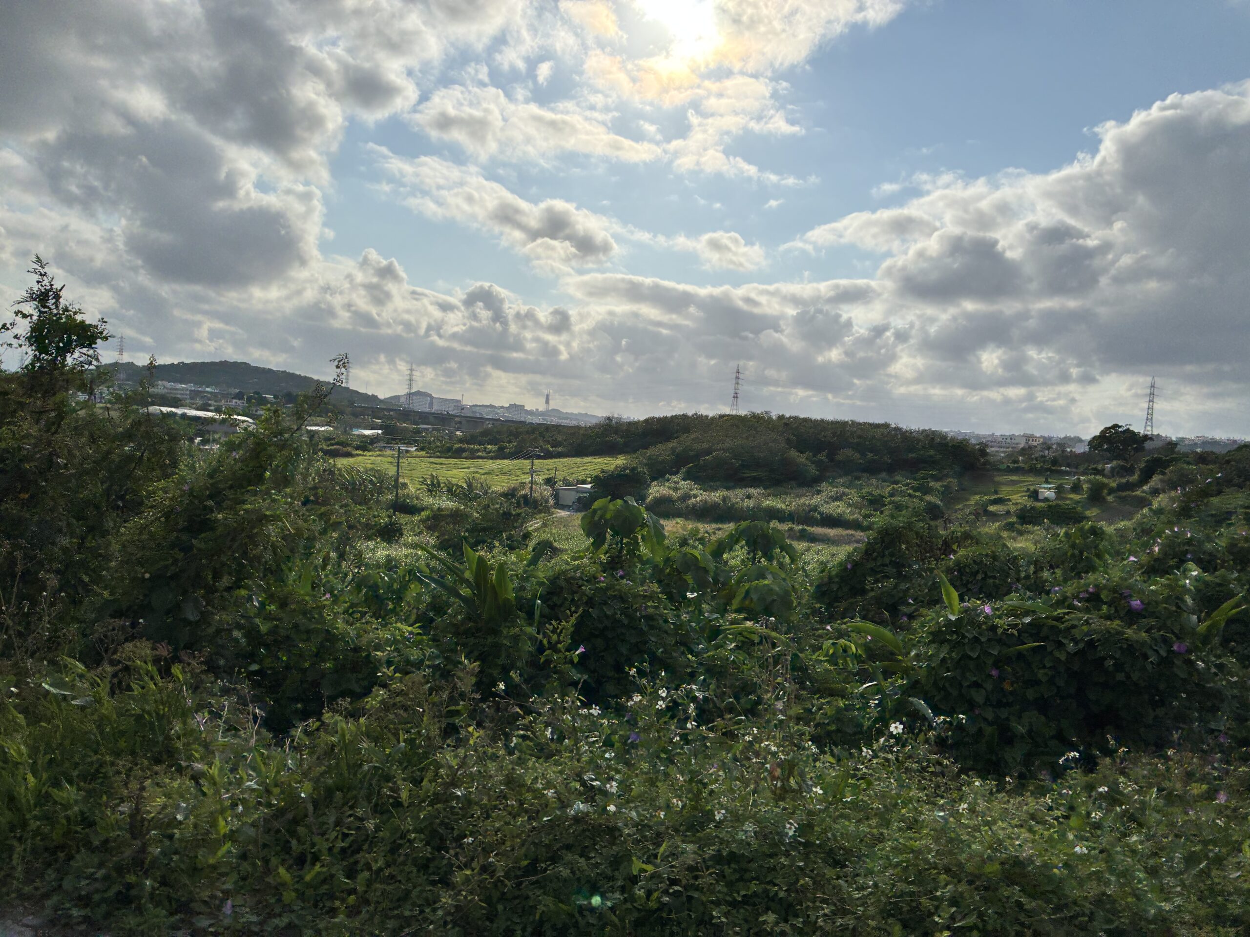 I hope it goes well.