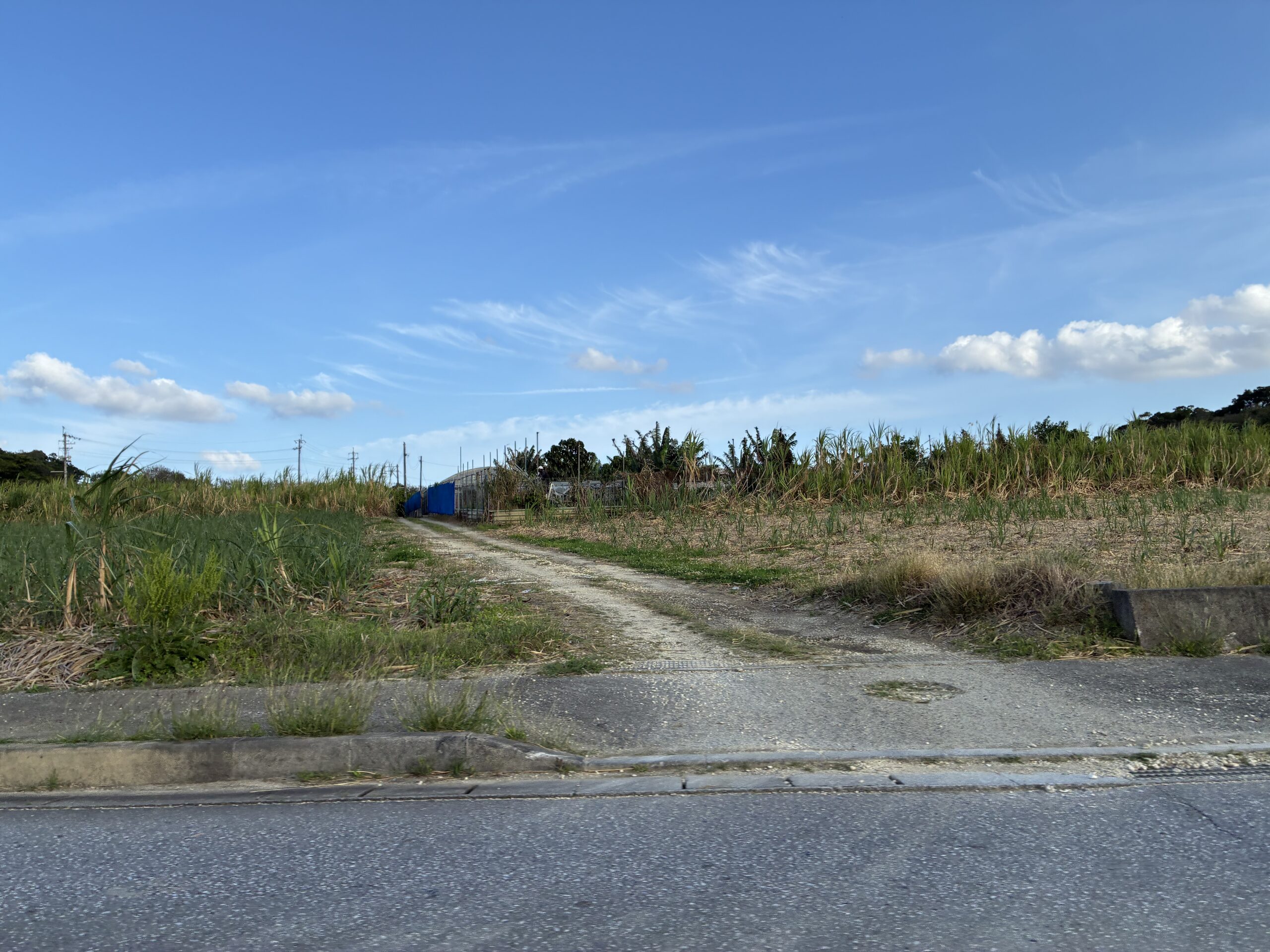 After all, It’s about your mindset, right?♪