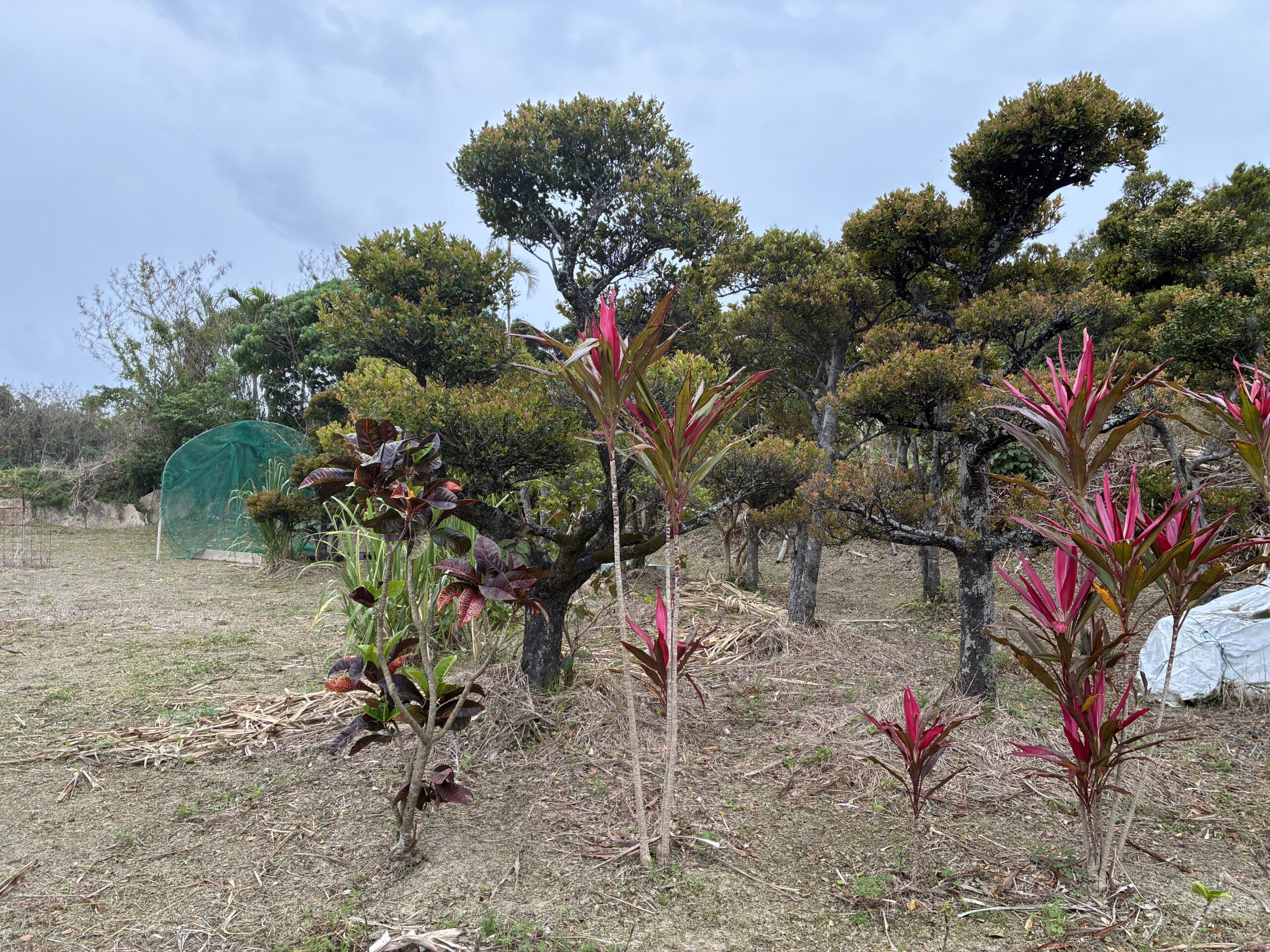 I want to do everything and eat everything!!