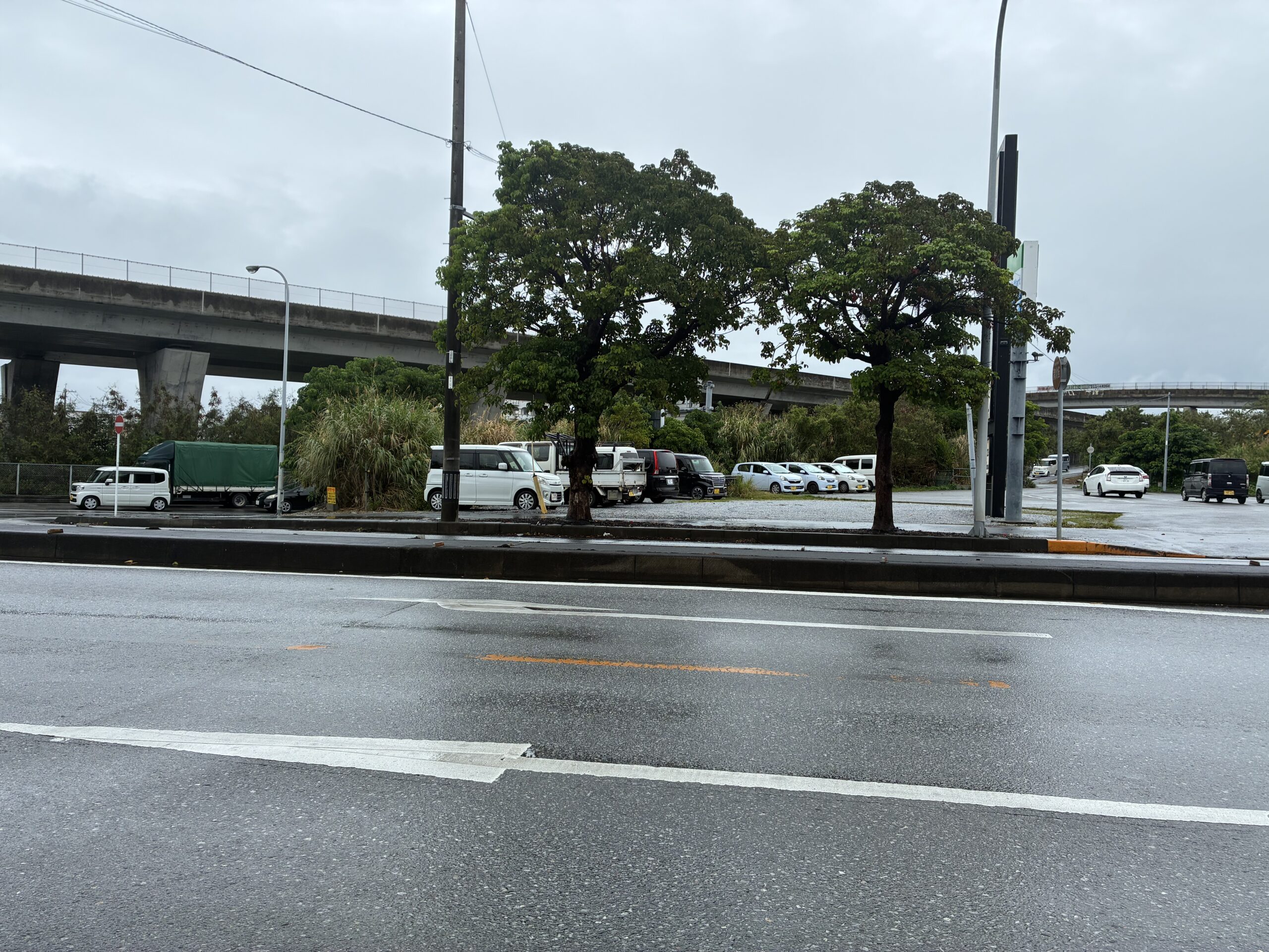 私も自然の中の一部ってだけ。